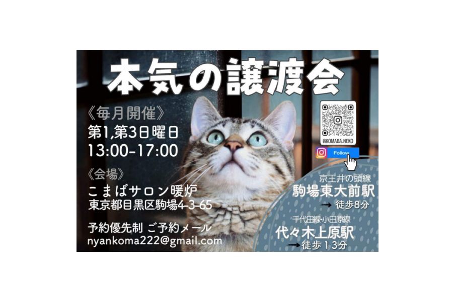 駒場本気の譲渡会